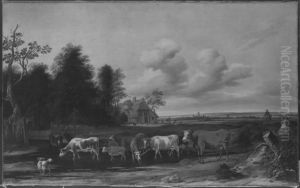Landschaft Landschaft