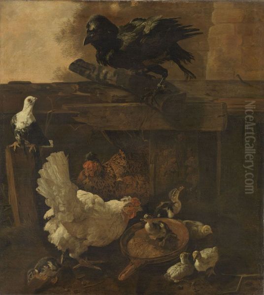 Chicken Yard - view 1