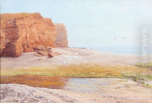 Sunlit Coastal Scene - view 1