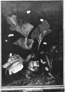 Blumenstillleben mit Schmetterlingen, Eichhornchen und Schlange by Otto Marseus van Schrieck