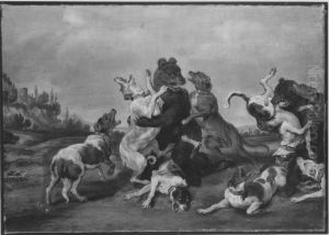 Kampf zwischen Baren und Hunden