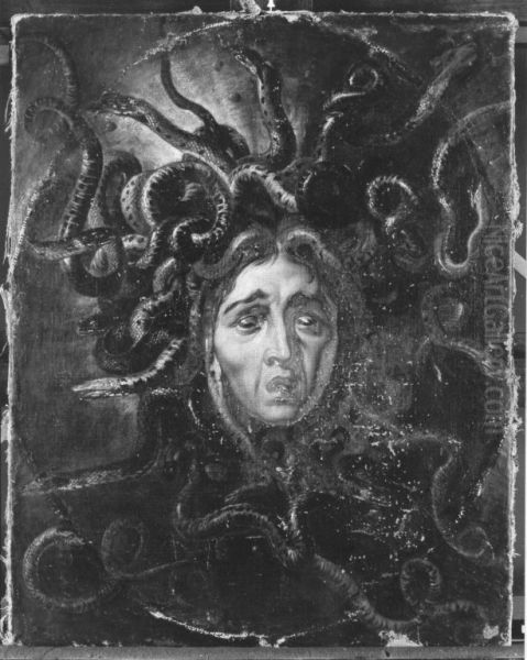 Medusenhaupt - view 1