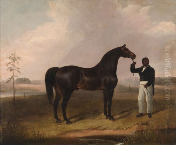 Sir Archy by Diomed out of Castianira - view 1