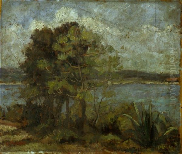 Broni o Paesaggio con alberi e mare - view 1