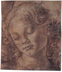 Testa di fanciullo che guarda verso il basso by Andrea Del Verrocchio