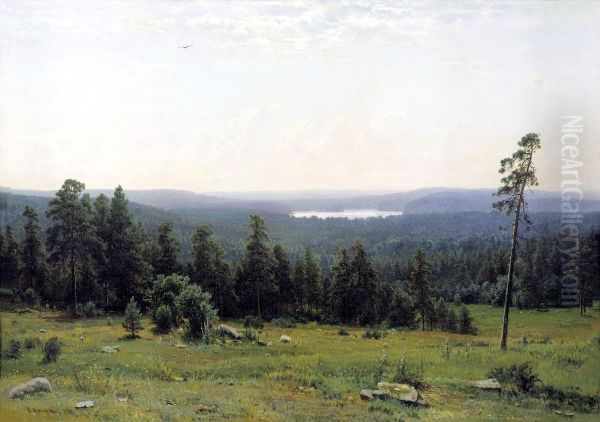 The forest distant views - view 1