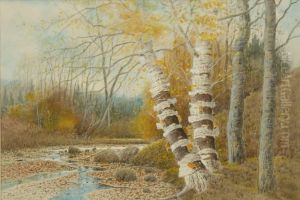 Birches By A Forest Stream by Samuel R. Chaffee