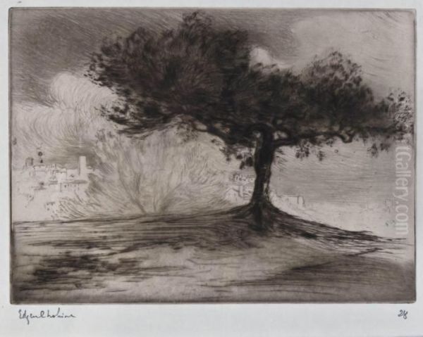 Tree - view 1