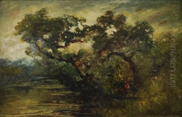 River Landscape with Overhanging Trees - view 1