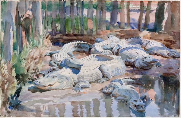 Muddy Alligators - view 1