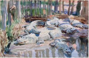 Muddy Alligators