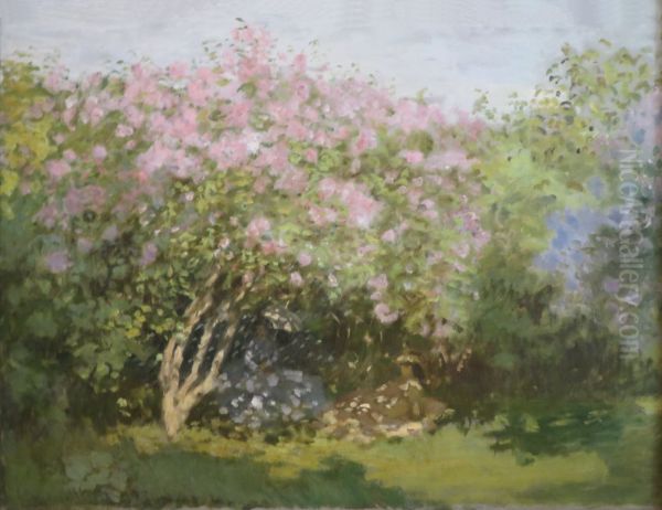 Lilac in the Sun - view 1
