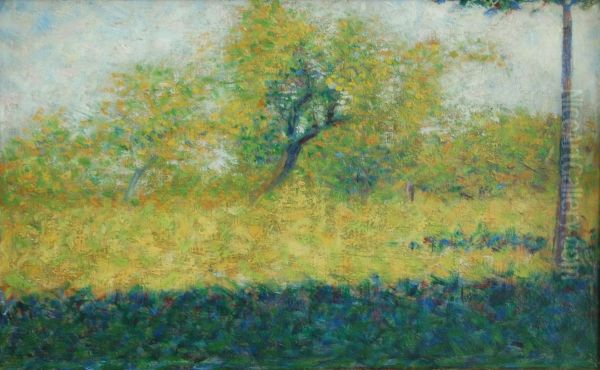 Lisiere de bois au printemps - view 1