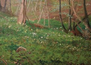 Fruhling im Wald bei Aumuhle Fruhling im Wald bei Aumuhle