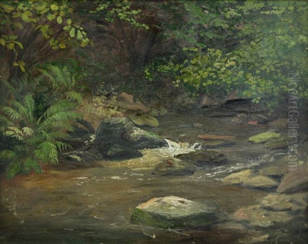 "Ilsebachtal im Harz" - view 1