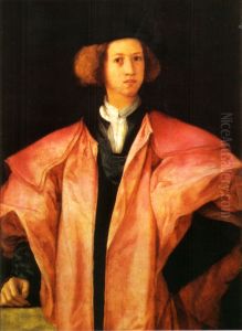 Portrait of a Young Man by Pontormo