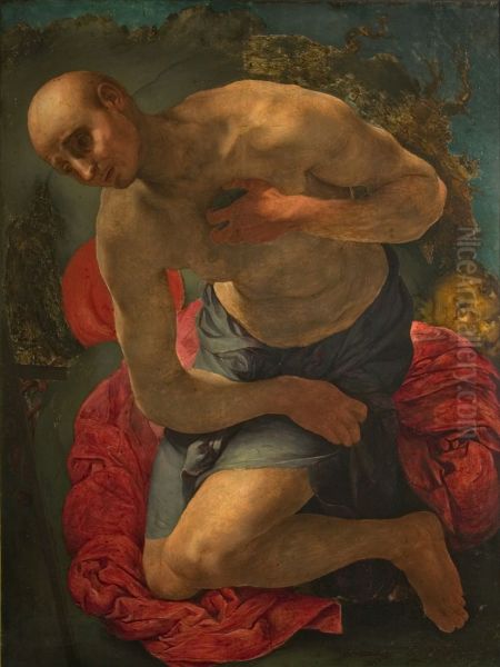 Saint Jerome penitent - view 1