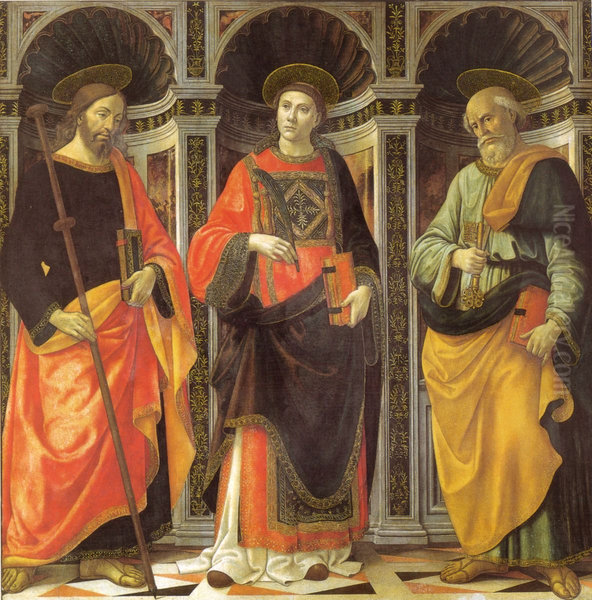 Santo Stefano tra i santi Jacopo e Pietro - view 1