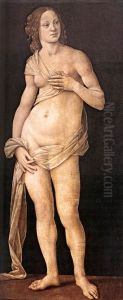 Venus Venus