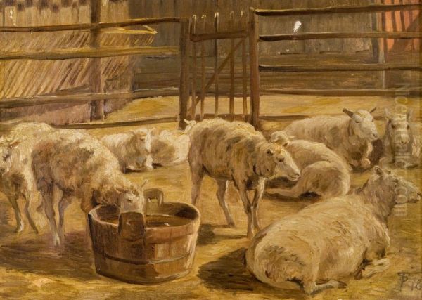 Sheep in a fold - view 1