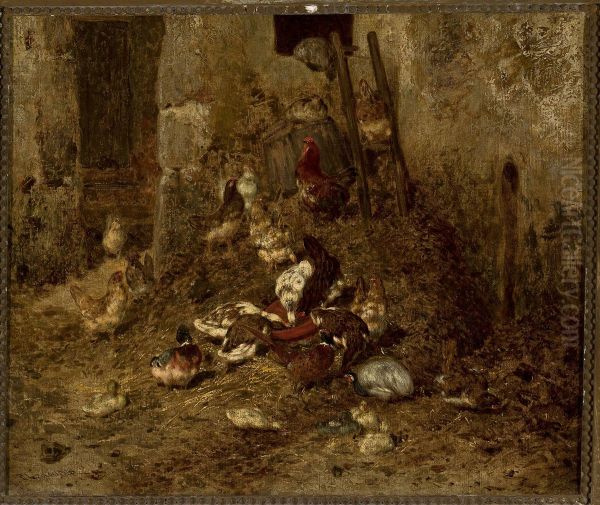 Domestic fowls - view 1