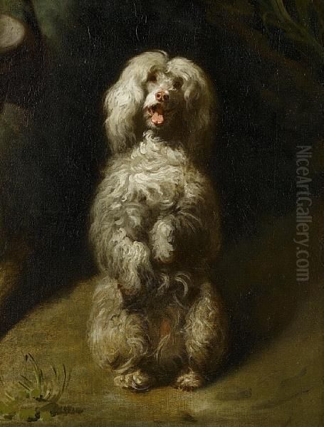 A Begging Poodle - view 1