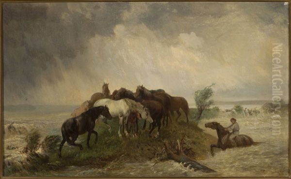 Flood - view 1