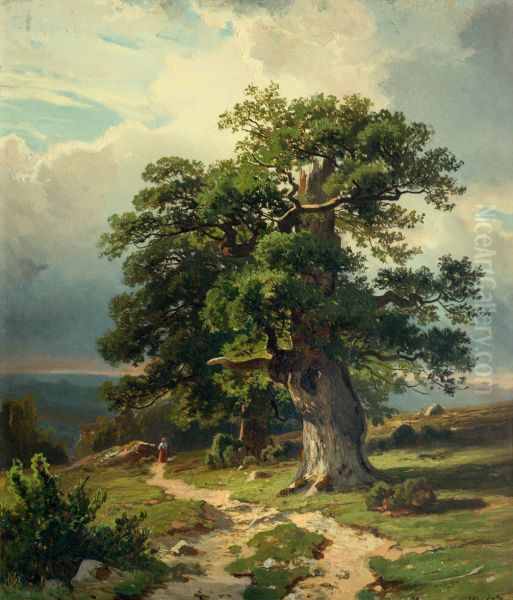 Oaks - view 1
