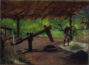Monjolo Comum - Primordios da Lavoura Paulista by Alfredo Norfini
