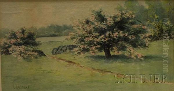 Trees In Bloom - view 1