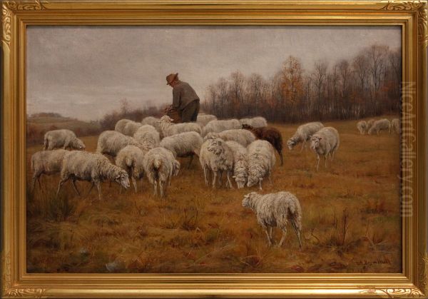 Landscape with Sheep - view 1