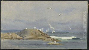 Zilvermeeuwen en zeezwaluwen op de scheren voor de Scandinavische kust Zilvermeeuwen en zeezwaluwen op de scheren voor de Scandinavische kust