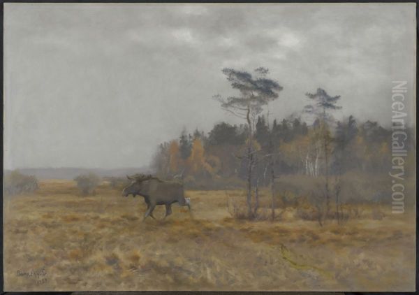 Moose shifting across a swamp in Sweden - view 1