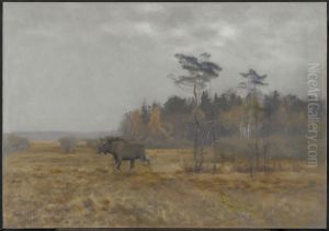 Moose shifting across a swamp in Sweden