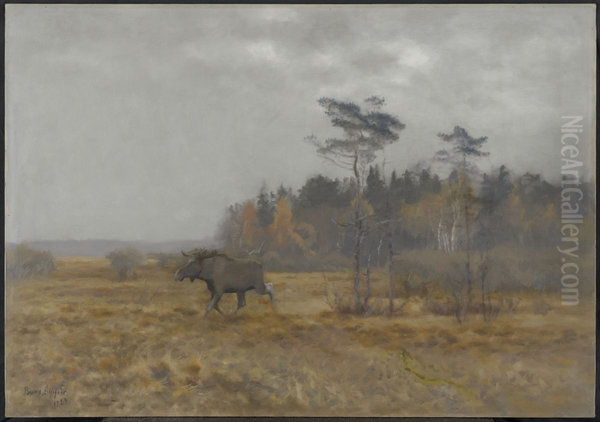 Eland wisselend over een moeras in Zweden - view 1