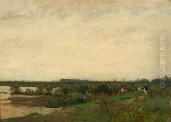 Hollands polderlandschap - view 1