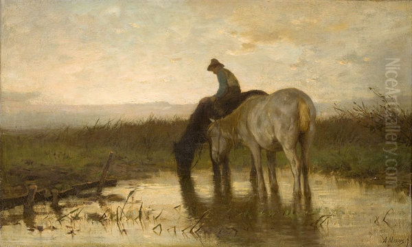 Drinkende paarden - view 1