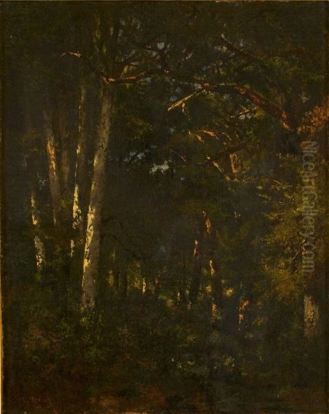 In het bos van Fontainebleau (Foret de Fontainebleau) - view 1