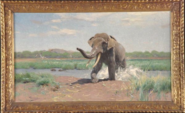Indische olifant uit het water stappend - view 1