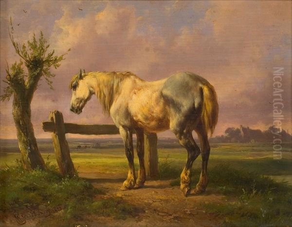 Schimmel in weide - view 1