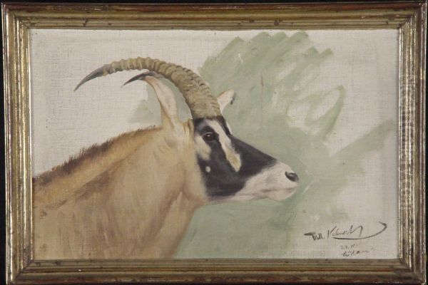 Kop van roan-antilope - view 1