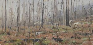 Afgestorven woud in Canada by Richard Friese