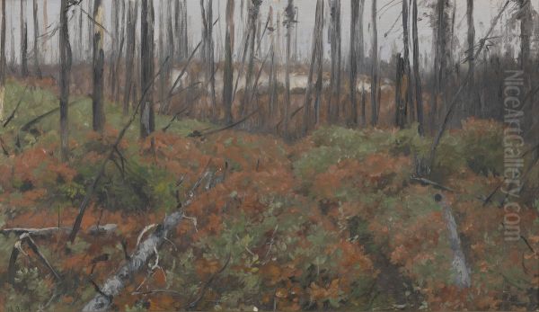 Vroege herfst in Canada - view 1