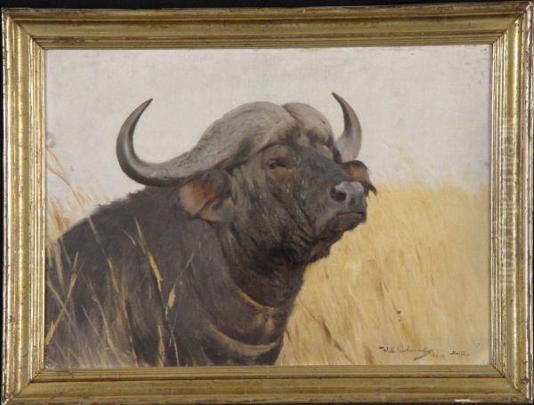 Kop van een Afrikaanse buffel - view 1