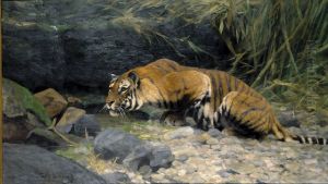 Koningstijger bij bron by Wilhelm Kuhnert