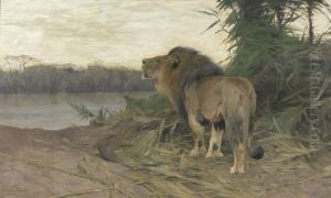 Leeuw aan de Ruaha-rivier, Tanzania by Wilhelm Kuhnert