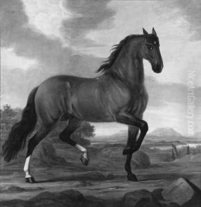 Hispanus Conquerant, en av kung Karl XI:s ridhastar Hispanus Conquerant, en av kung Karl XI:s ridhastar