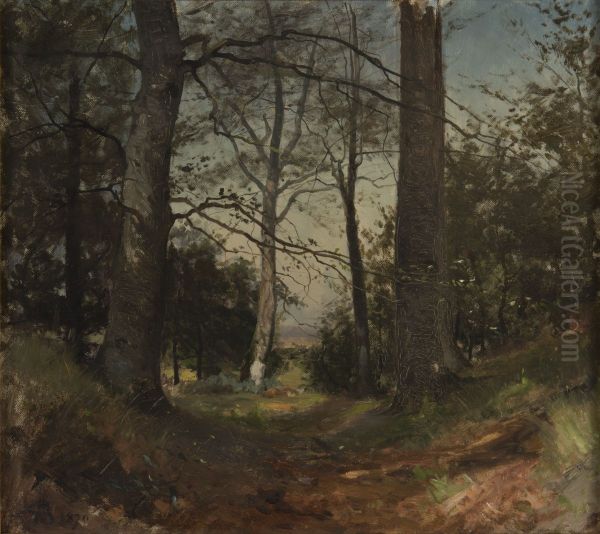 In the Forest. Motif from Stehag, Skane. Study - view 1