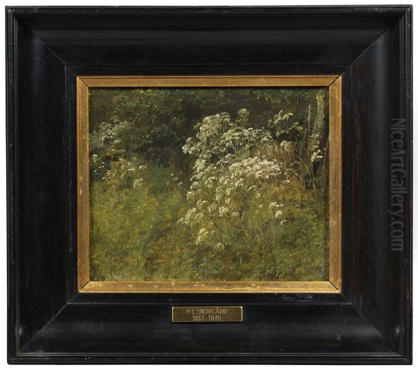Cow Parsley. Study - view 1