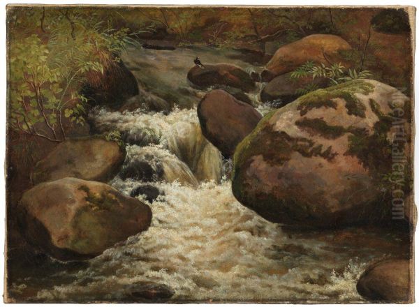 Rushing Brook - view 1